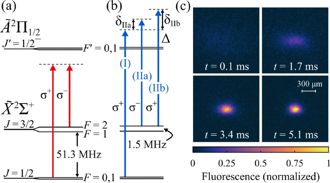High Compression Blue-Detuned Magneto-Optical Trap of Polyatomic Molecules