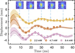 Magneto-Optical Trapping of a Heavy Polyatomic Molecule for Precision Measurement
