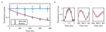 Parity-Doublet Coherence Times in Optically Trapped Polyatomic Molecules