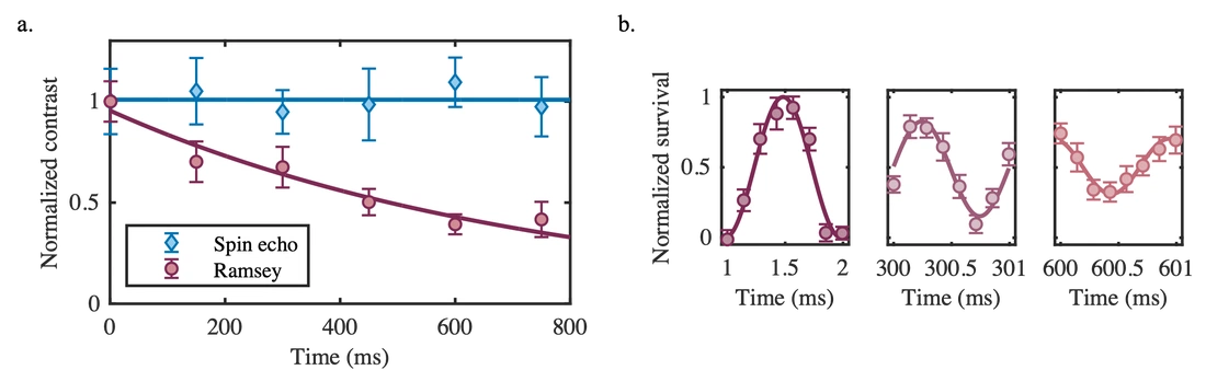 Parity-Doublet Coherence Times in Optically Trapped Polyatomic Molecules